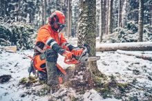 Motorová pila Husqvarna 560 XP Mark II (1)