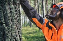 Husqvarna Bunda Technical Arbor (2)