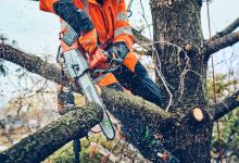 Akumulátorová pila Husqvarna T542i XP (bez aku a nabíječky) (3)